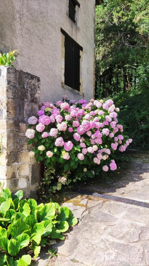 Bed and Breakfast La Fontaine Du Mas Thiviers Exterior foto